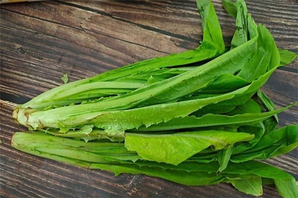 油麦菜孕妇可以吃吗 油麦菜对孕妇有什么好处 油麦菜孕妇可以吃吗 油麦菜对孕妇有什么好处